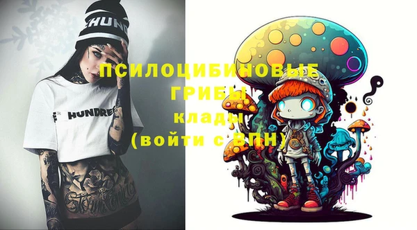 мдпв Абдулино